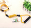 Dog Collar and Leash
