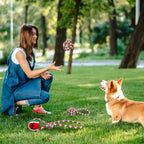Set Of 5Pcs Christmas Dog Rope Chew Toys