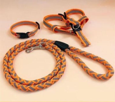Pet Leash and Collar Set