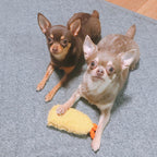 Fried Shrimp Tempura Dog Plush Chew Squeaky Toy