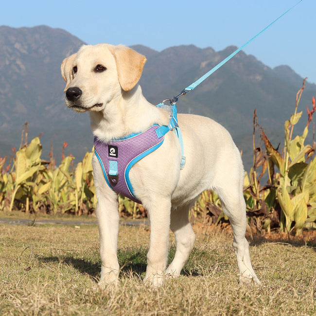 Breathable Pet Harness Adjustable Leash Hover Image