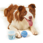 Pet Tennis Toys Outdoor Interactive Tennis Dog Toys
