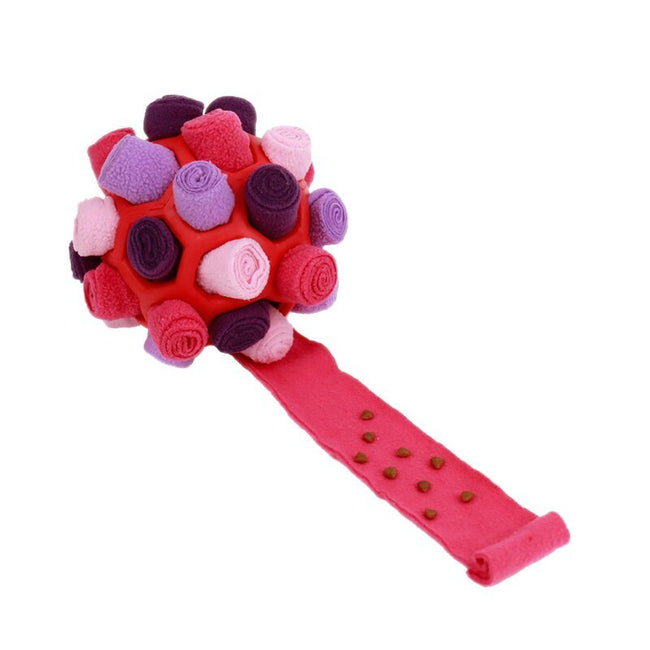 Pets Sniff Toy - Bubble Rubber Balls, Educational Main Image