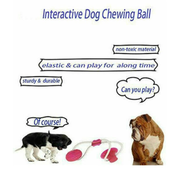 Dog Multifunction Pet Molar Bite Toy