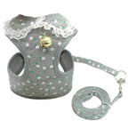 Small Pet Chest Harness and Leash