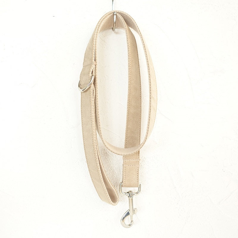 Dog Bowtie Collar and Leash Set