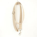 Dog Bowtie Collar and Leash Set