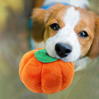 Gooddog Plushie Toys - Fruits Cartoon Foods