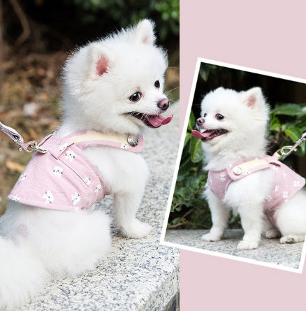Cute Pet Harness and Leash Set