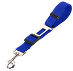 Pet Car Seat Belt Harness & Leash
