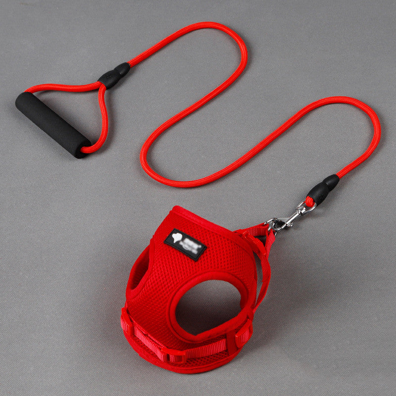 Dog Leash and Harness