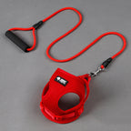 Dog Leash and Harness