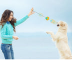 ABS Chew Resistant Throwing Ball Toy
