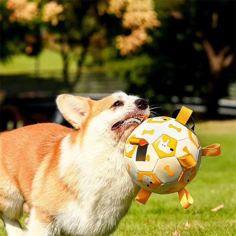 Interactive Dog Football Toy - Soccer Teething Ball With Cute Printing