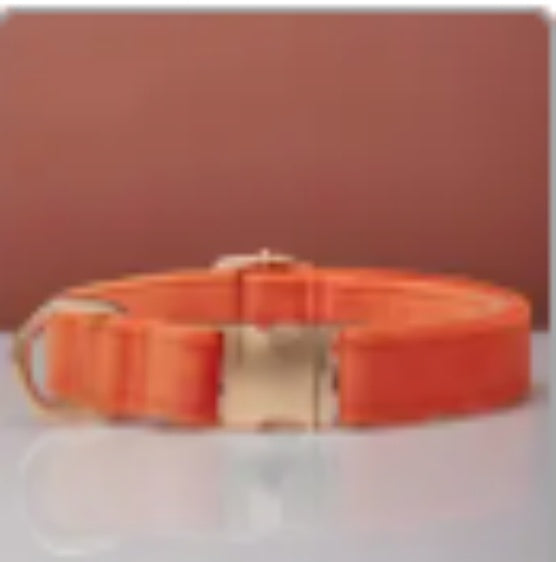 Multiple Color Velvet Dog Collar