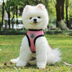 Pet Car Seat Belt Harness & Leash