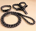 Pet Leash and Collar Set