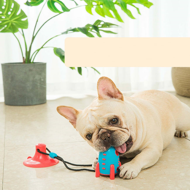 Rocket Dog Bite Toy Hover Image