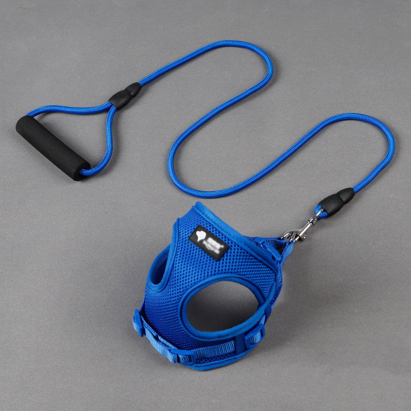 Dog Leash and Harness