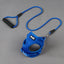 Dog Leash and Harness