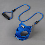 Dog Leash and Harness