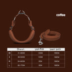 Pet Harness with Leash