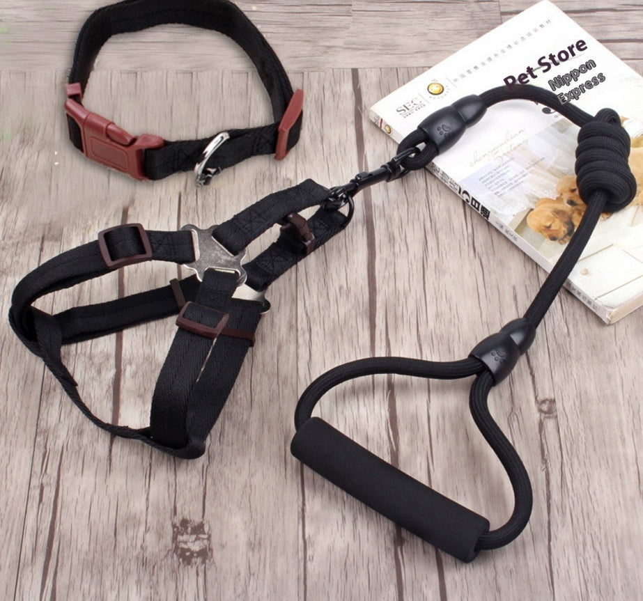 Dog Collar and Leash