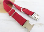 Pet Traction Collar and Leash