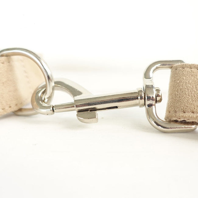 Dog Bowtie Collar and Leash Set Main Image