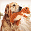 Dinosaur Plush Chew and Sound Dog Toy