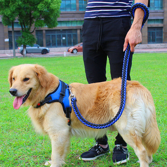 Dog Leash Dog Leash Chest Strap Main Image