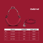Pet Harness with Leash