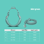 Pet Harness with Leash