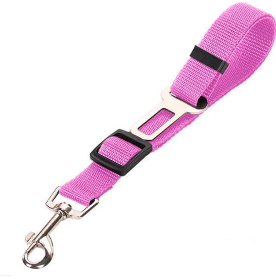 Pet Car Seat Belt Harness & Leash