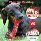 Durable Natural Rubber Dog Chew Toy
