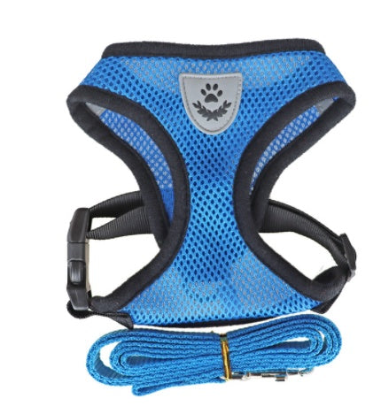 Dog Harness and Leash Fashionable High-end Multi-colour