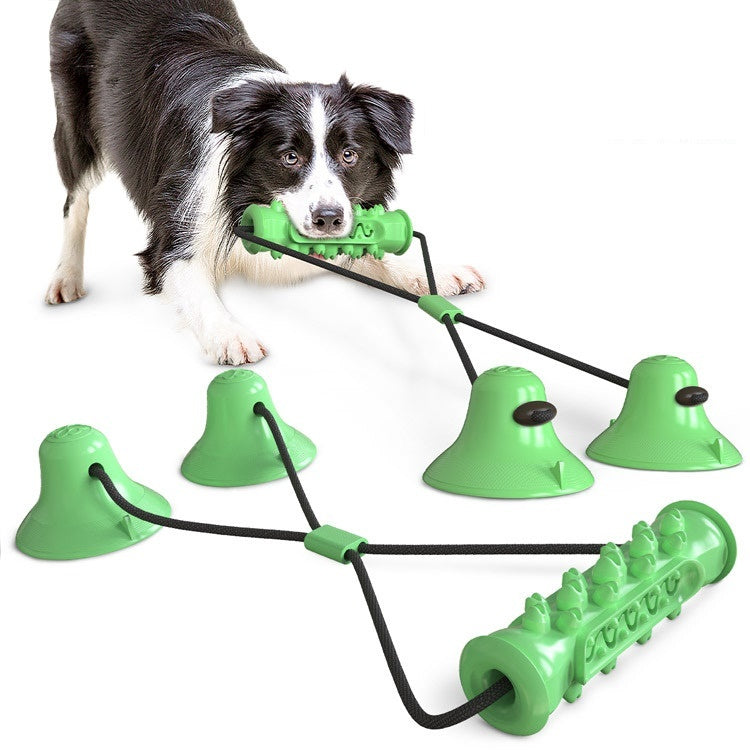 Suction Cup Molar Chew Toy