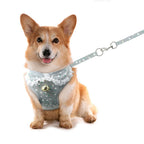 Small Pet Chest Harness and Leash
