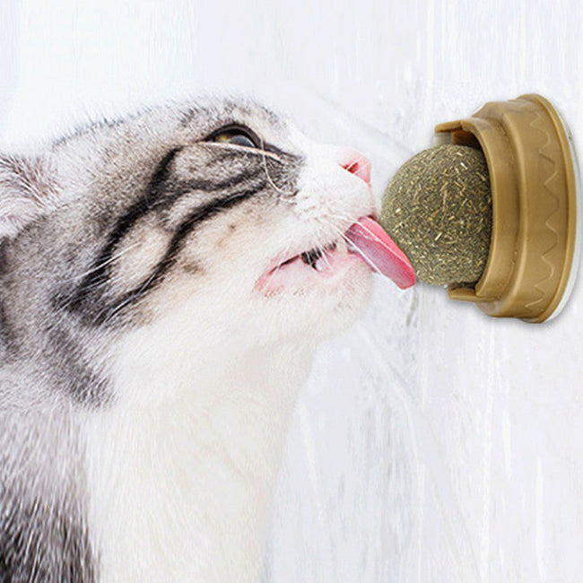 Catnip Balls Cat Treats Rotary Molar Teeth Cleaning Hover Image