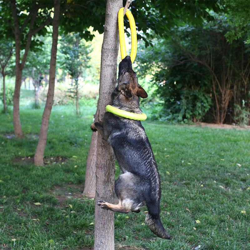 Pet Training Toy  Dog Pull Ring