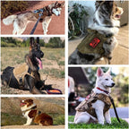 Tactical Dog Harness Nylon Pet Training Vest