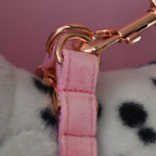 Pet Chest Harness and Leash Dog Collar and Leash Set