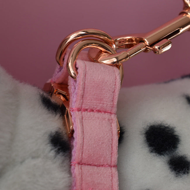 Pet Chest Harness and Leash Dog Collar and Leash Set Main Image