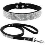 Dog Collar Dog Leash1
