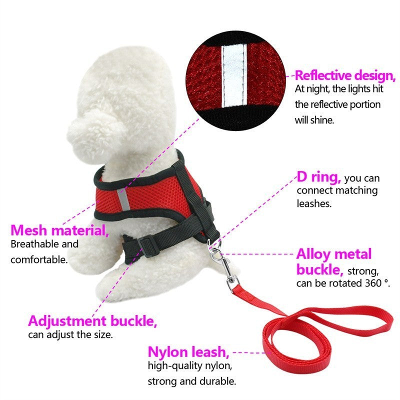 Pet Car Seat Belt Harness & Leash