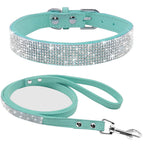 Dog Collar Dog Leash1