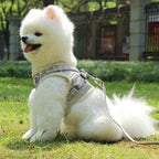 Dog Leash Reflective Strips Go Out At Night Pet Harness and Leash Set