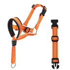 Nylon Dog Muzzle and Leash