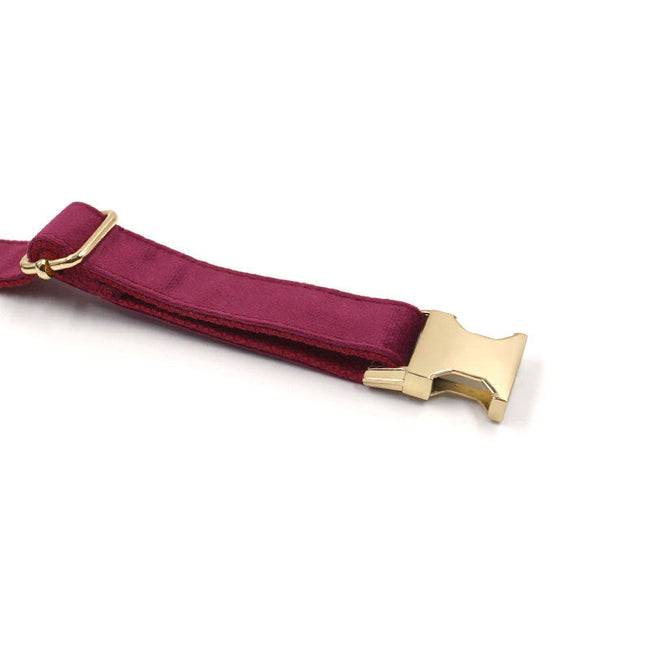 Soft Burgundy Velvet Pet Collar Dog Collar Main Image