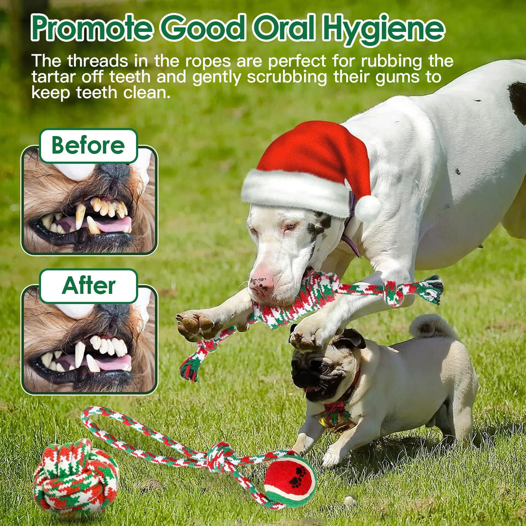 Set Of 5Pcs Christmas Dog Rope Chew Toys